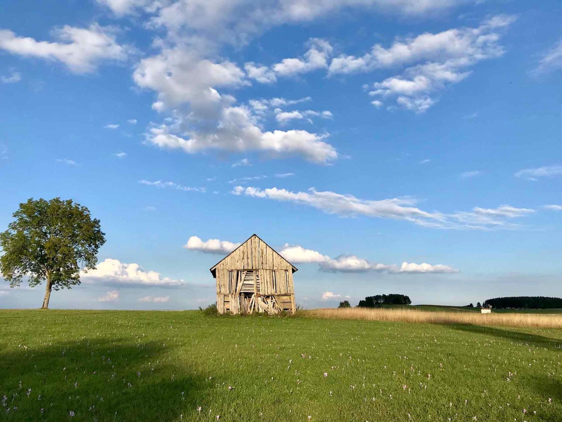 Gaestehaus Roessle Roetenbach  Luaran gambar