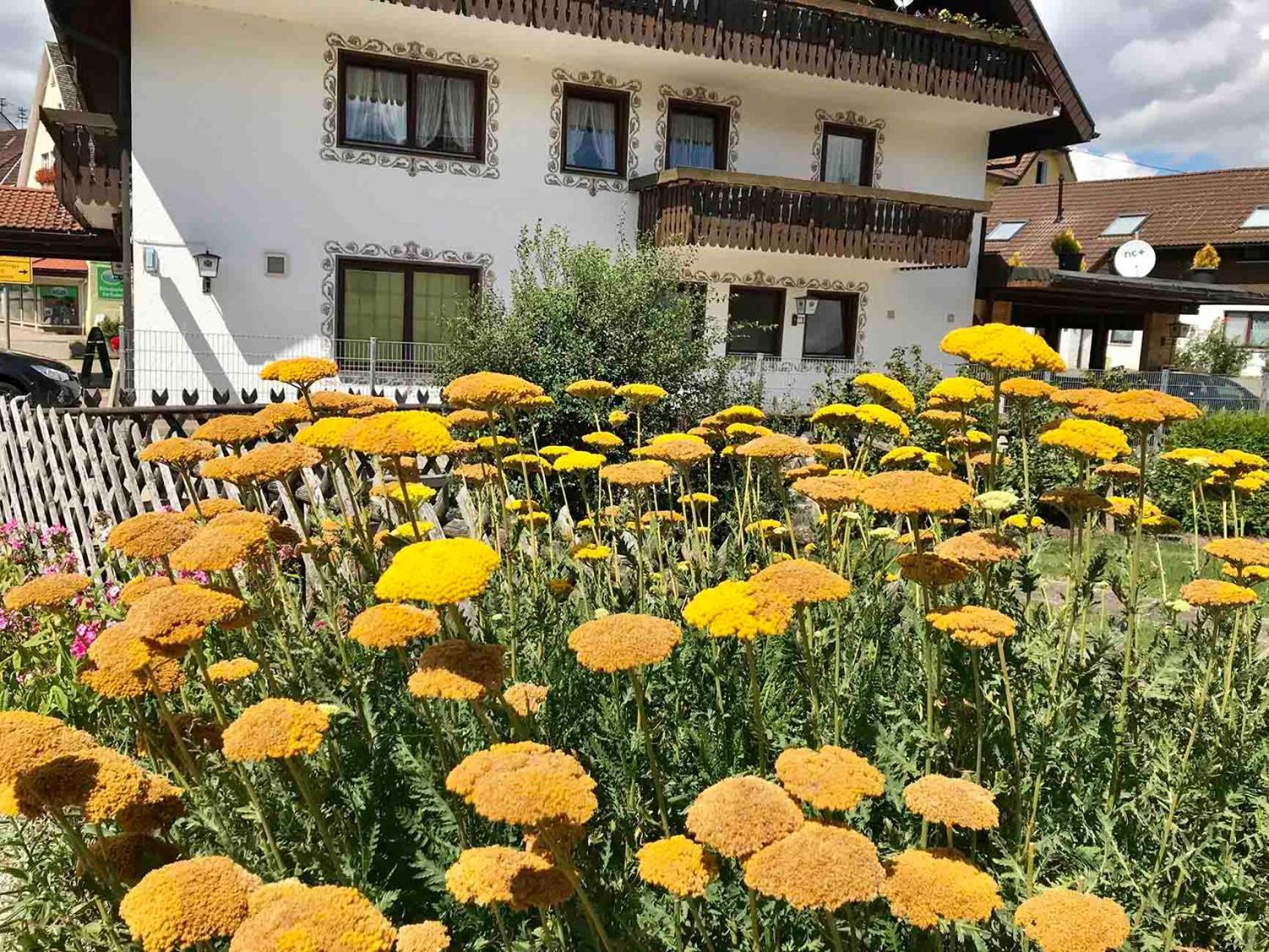 Gaestehaus Roessle Roetenbach  Luaran gambar